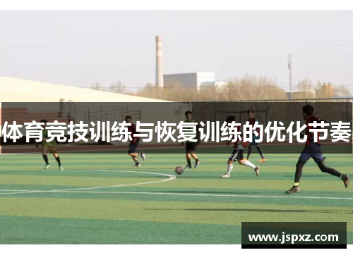 体育竞技训练与恢复训练的优化节奏